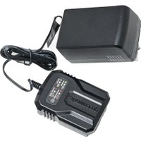 Триммер Greenworks GD40LT 2112207UB (с 1-им АКБ)