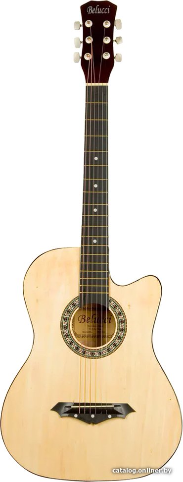 Акустическая гитара Belucci BC3810 N