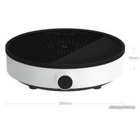 Настольная плита Xiaomi Induction Cooker Lite DCL002CM (с переходником на евровилку)