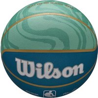 Баскетбольный мяч Wilson NBA Team City Collector Charlotte Hornets WZ4024104XB7 (7 размер) в Бресте