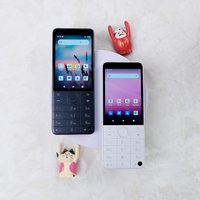 Кнопочный телефон QIN F22 Pro 4GB/64GB (международная версия, черный)