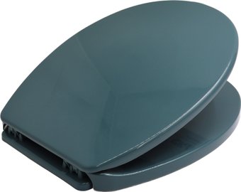 Сиденье для унитаза Bisk Iris 08472 (зеленый)