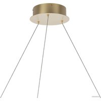 Припотолочная люстра Lightstar Rotonda 736333