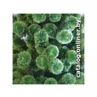 Ель Царь Елка Камила люкс 1.8 м