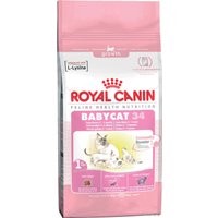 Сухой корм для кошек Royal Canin Babycat 34 2 кг