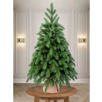 Ель Царь Елка Афродита АФР-90