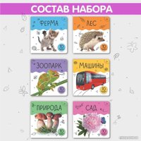 Набор книг издательства Malamalama Шоубокс. Мир в картинках