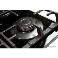 Варочная панель Making Oasis Everywhere P-3GBT (B)