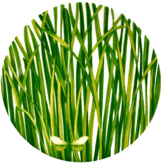 

Тарелка обеденная Taitu Life In Green 12-13-3