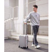Чемодан-спиннер Ninetygo All-round Guard Luggage 20" (серебристый)