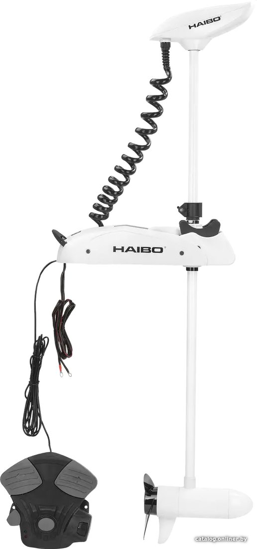 Лодочный мотор Haibo iPenguin P65 GPS