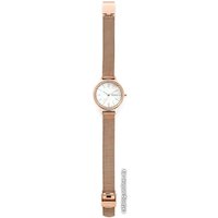 Наручные часы Skagen Anita SKW2865