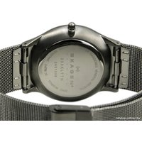 Наручные часы Skagen 233XLTTN