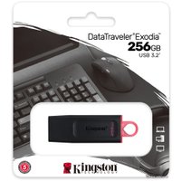 USB Flash Kingston Exodia 256GB