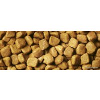 Сухой корм для кошек Pro Plan Delicate Adult Optidigest с индейкой 3 кг