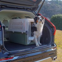 Переноска Ferplast Atlas Classic 60 73059021 (зеленый)