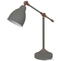Настольная лампа Arte Lamp Braccio A2054LT-1GY