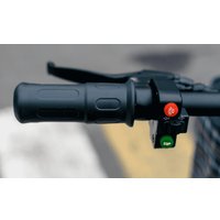 Электросамокат AVM Delta Big (черный)