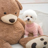 Комбинезон для животных Puppia Titus PAUD-OP1855-PK-L (розовый)