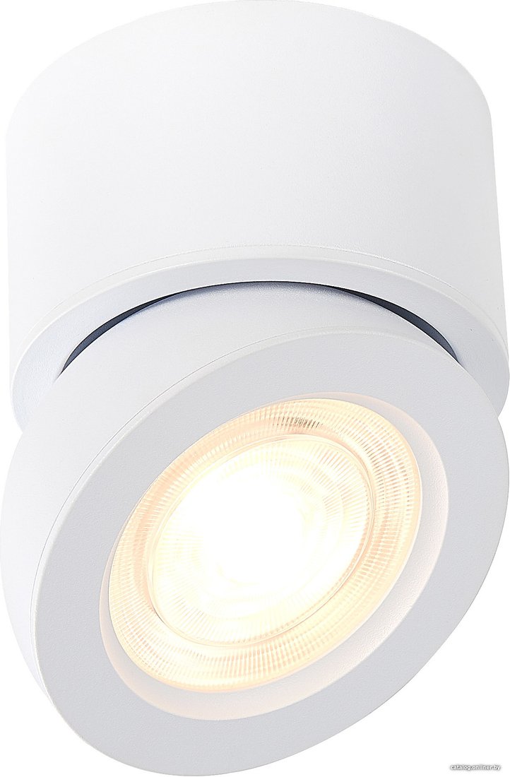 Спот ST Luce ST654 ST654.542.10
