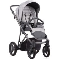 Универсальная коляска BEBETTO Flavio (2 в 1, 04)