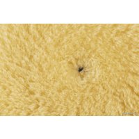 Полировальный круг Rupes Средней жесткости желтый меховой диск 30/45мм