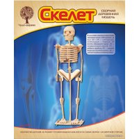 3Д-пазл Чудо-Дерево Скелет