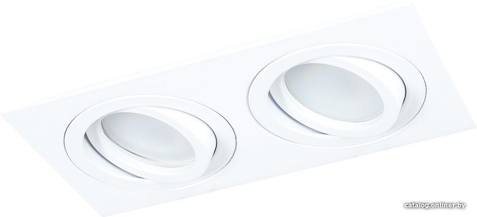 Точечный светильник Arte Lamp Tarf A2168PL-2WH