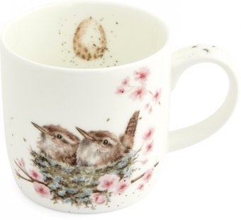 Кружка Royal Worcester Designs Feather Your Nest MMQU5629-XS