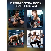 Набор гантелей Motiways с грифом для штанги 40 кг