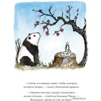 Книга издательства Манн, Иванов и Фербер. Большая Панда и Маленький Дракон: медитативная история (Джеймс Норбури)