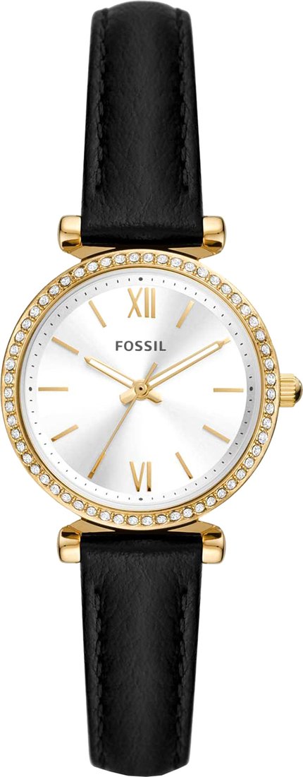 

Наручные часы Fossil Carlie ES5127