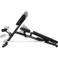 Силовая скамья Alpin Champion G-17