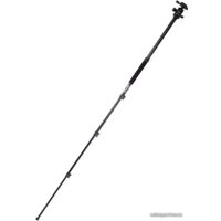 Трипод Raylab Pro 65 (с головой)