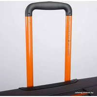 Чемодан-спиннер Francesco Molinary 270-29111/3-24 (серый)