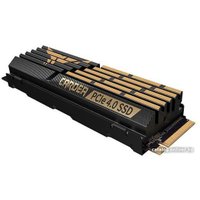 SSD Team T-Force Cardea A440 1TB TM8FPZ001T0C327