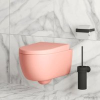 Сиденье для унитаза Ambassador Abner 102T20901 (розовый матовый)