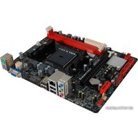 Материнская плата BIOSTAR A58ML Ver. 7.x