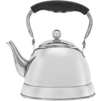 Чайник без свистка Alpenkok AK-542