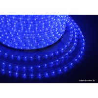 Дюралайт Neon-Night Дюралайт светодиодный [121-253]