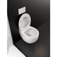 Унитаз подвесной Roxen Egg в комплекте с инсталляцией StounFix Dual Fresh 6 в 1 964256 (кнопка: черное стекло)