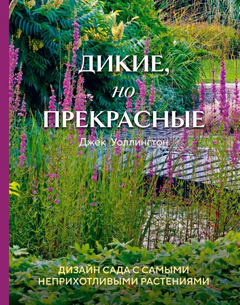 

Книга издательства Бомбора. Дикие, но прекрасные 9785041926748 (Уоллингтон Д.)