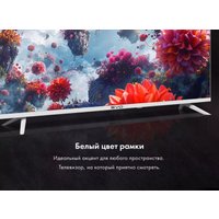 Телевизор Evo TV 24 White TD0051748RU