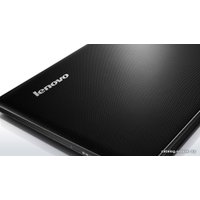 Ноутбук Lenovo G505 (59419659)