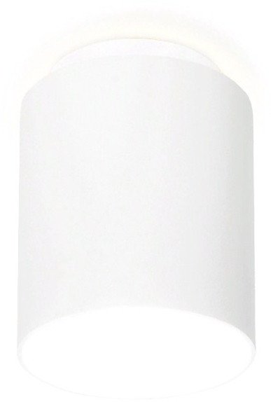 Спот Ambrella light TN261 WH/S