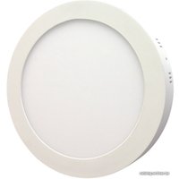 Точечный светильник SmartBuy SBL-RSDL-24-4K