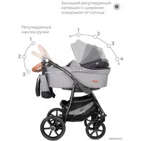 Универсальная коляска Riko Basic Bella Lux (2 в 1, 01/темно-серый)