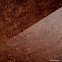 Полочная акустика Dynaudio Confidence С1 Platinum