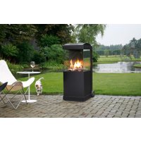 Биокамин Faber theBUZZ