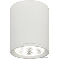 Точечный светильник Escada 20003SMU/02 LED 12W 4200K (белый матовый)